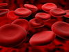 Blood Cells Image